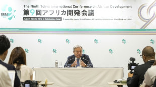 L'Afrique peut devenir une "superpuissance du renouvelable", dit Guterres